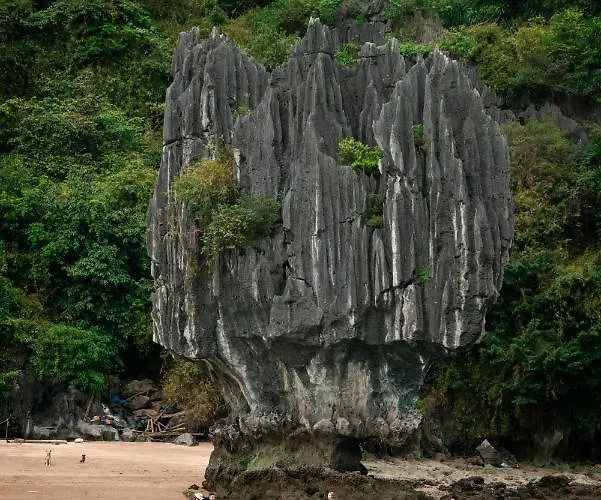 Sena Cruises - Wonder On Lan Ha Bay 