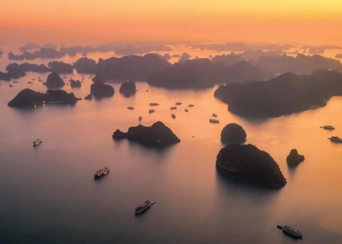 Sena Cruises - Wonder On Lan Ha Bay 5* Hạ Long